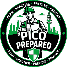 Pico Prepared Logo